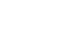 Saudi Vision 2030